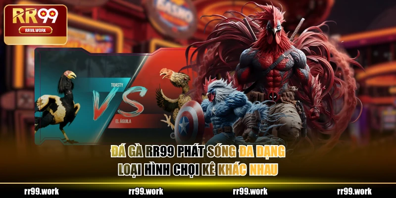 Đá Gà RR99 phát sóng đa dạng loại hình chọi kê khác nhau