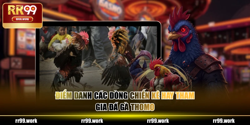Điểm danh các dòng chiến kê hay tham gia đá gà Thomo